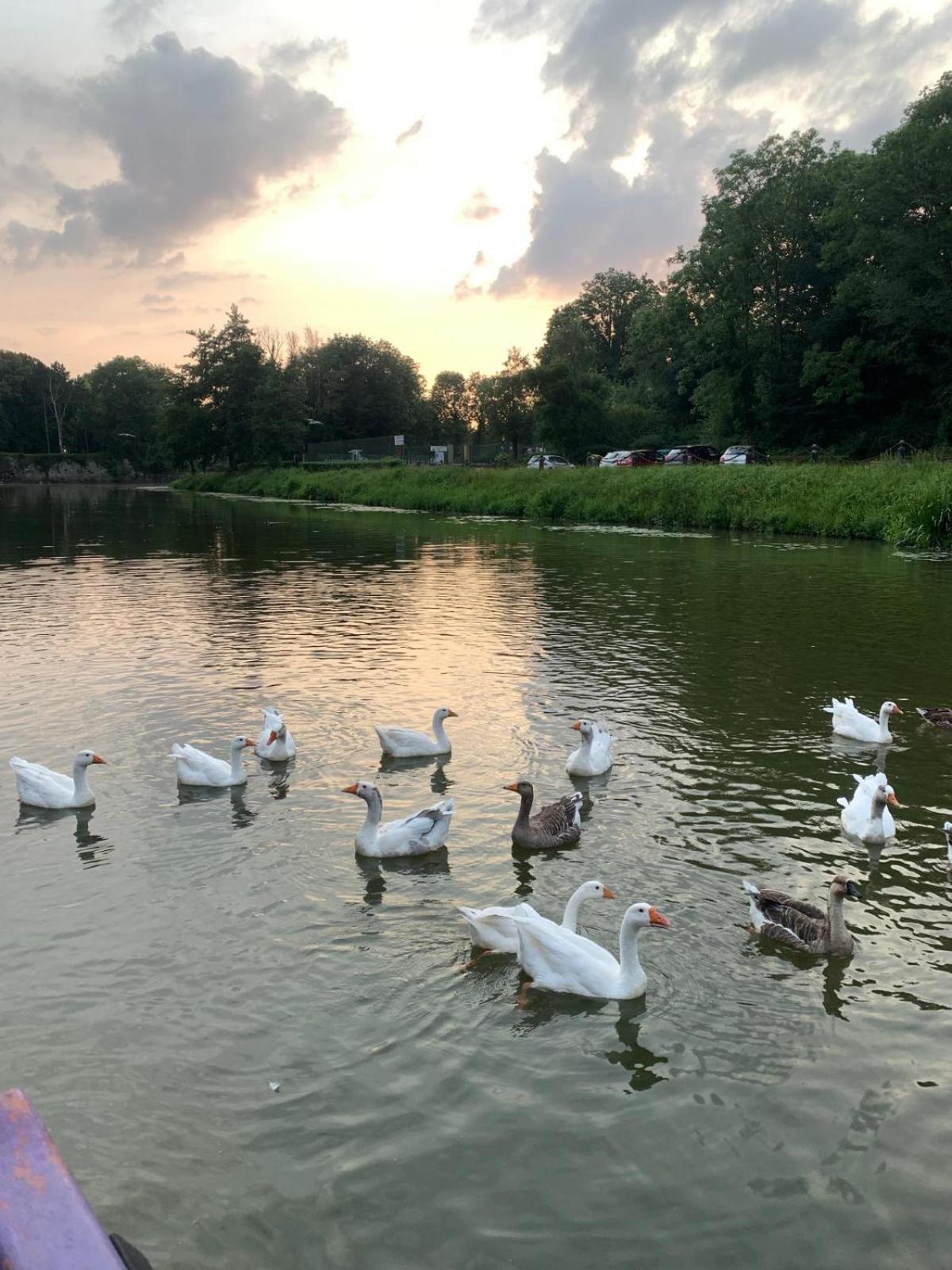 Nuit Insolite A Bord D'Une Peniche, 6 Personnes Bergues Exteriér fotografie